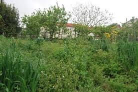 Cherche débrousailleuse